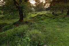 1_20240623-_MG_7857