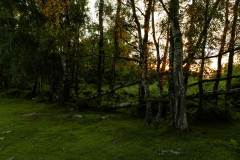 1_20240623-_MG_7895